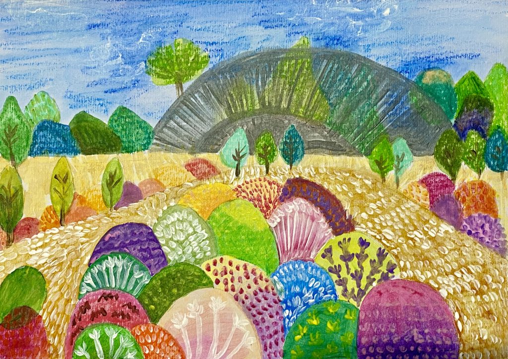 Winning Kids Art Competition artwork: Ruby's artwork of Adelaide Botanic Gardens.